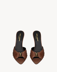AESTHETIC BROWN